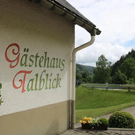 Talblick Apartamento Todtmoos