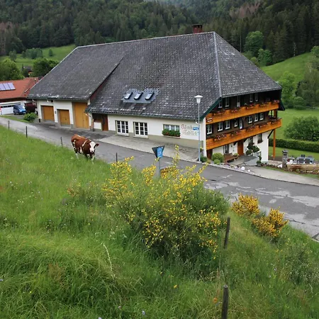 Talblick * Todtmoos